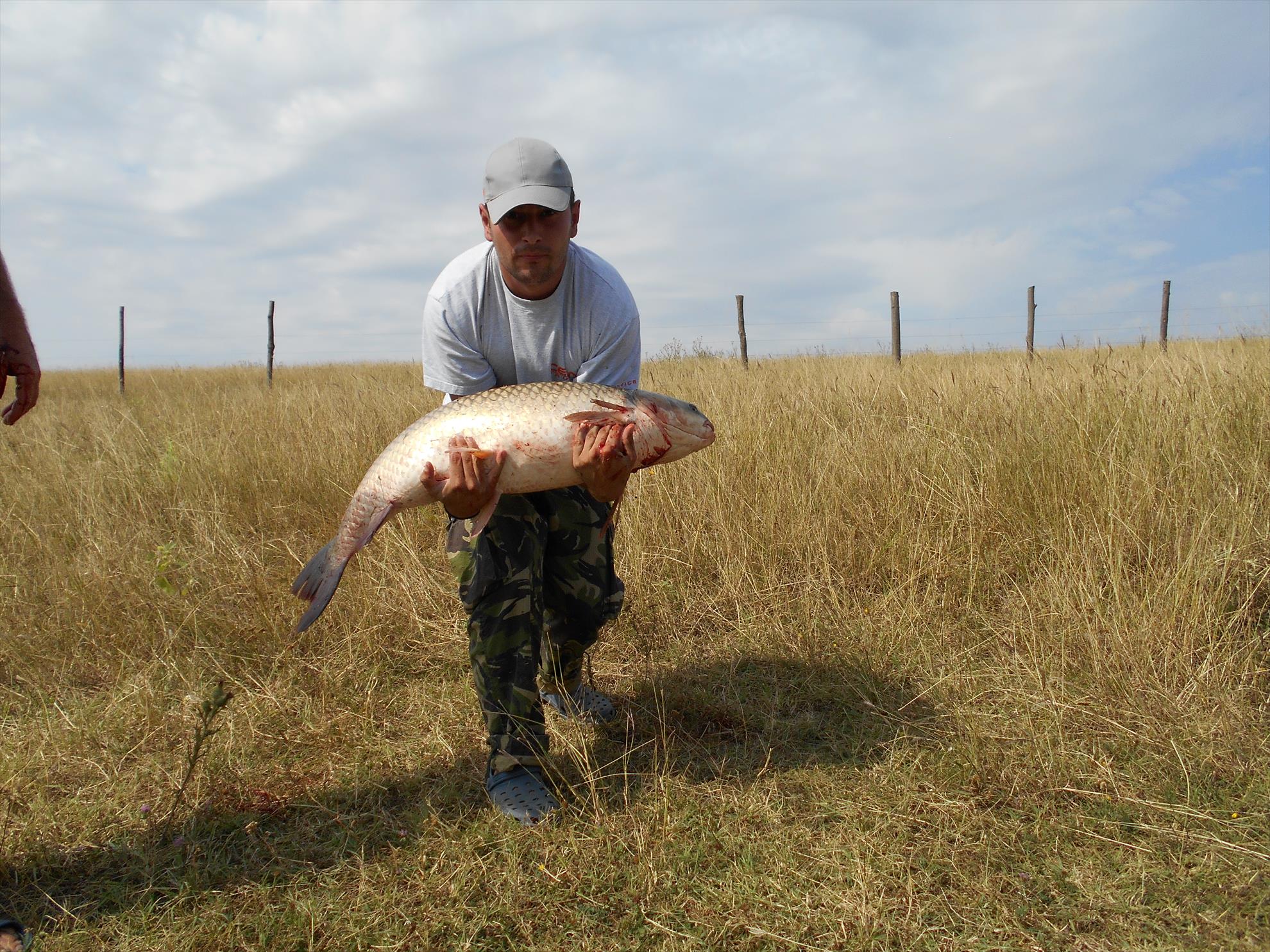 Polcesti - dscn0914.JPG